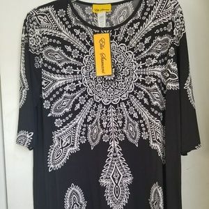 dress or long blouse